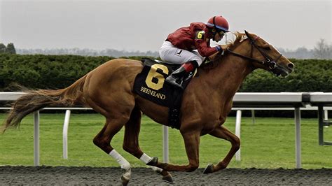 Expert Horse Racing Tips .